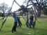 NOMA Giant Spider